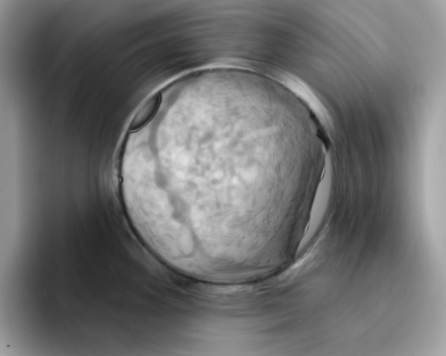 X0000091581292200709171109