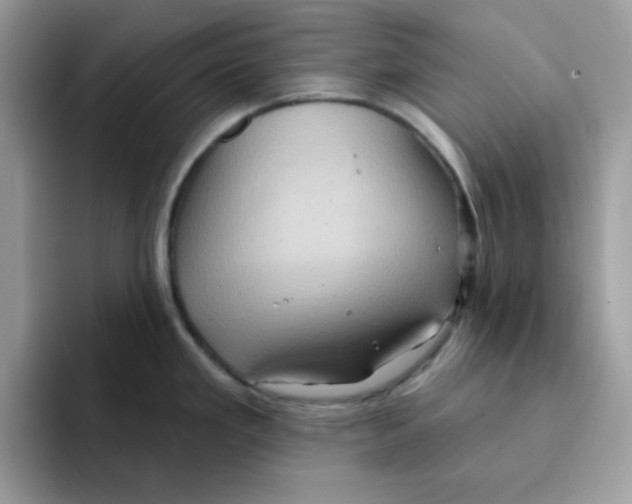 X0000091581293200709171109