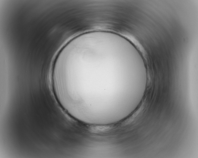 X0000091581294200709171109