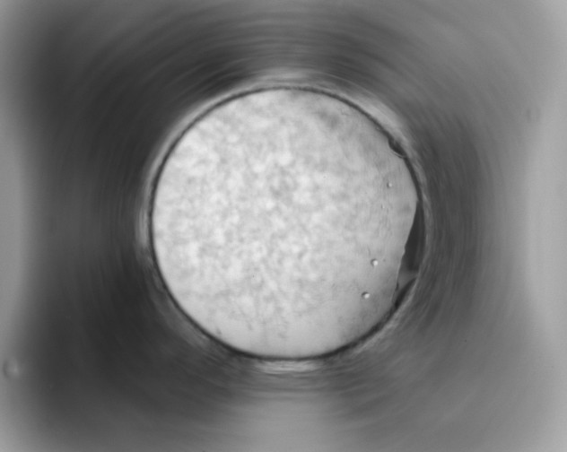 X0000091581296200709171109