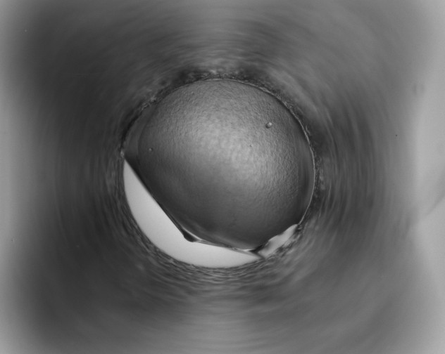 X0000091581298200709171108