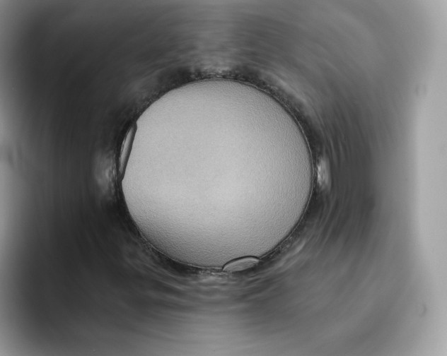 X0000091581299200709171108