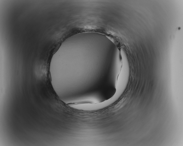 X0000091581300200709171108