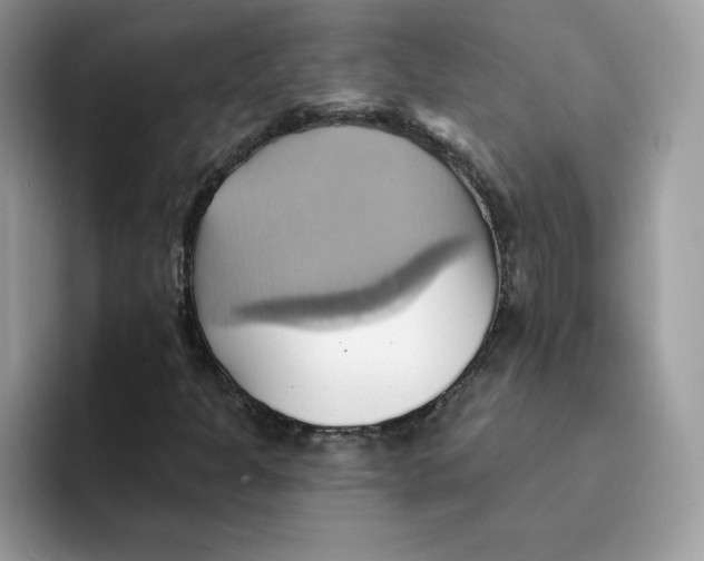 X0000091581301200709171108