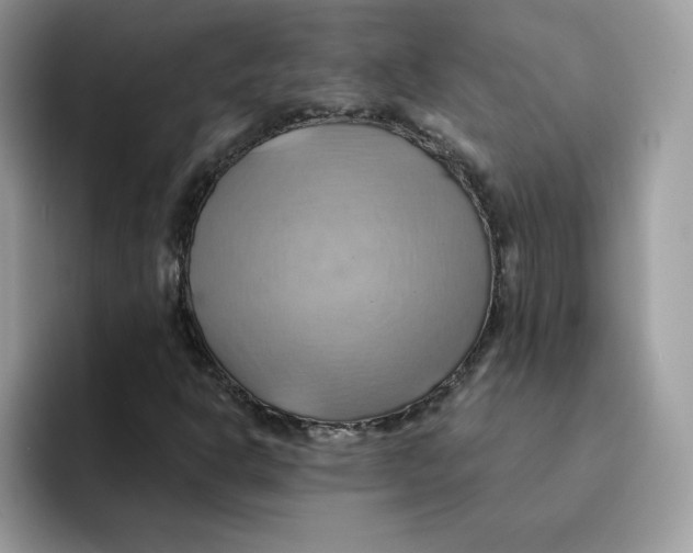 X0000091581302200709171108