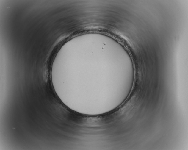 X0000091581306200709171108
