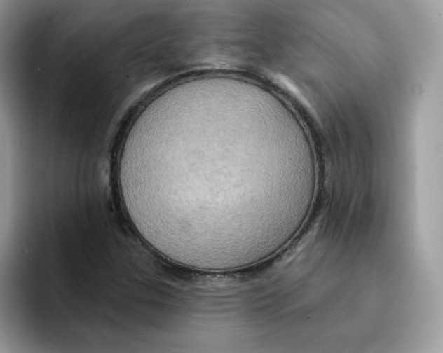 X0000091581307200709171108