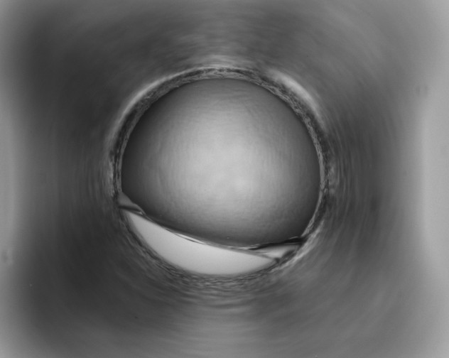 X0000091581310200709171108