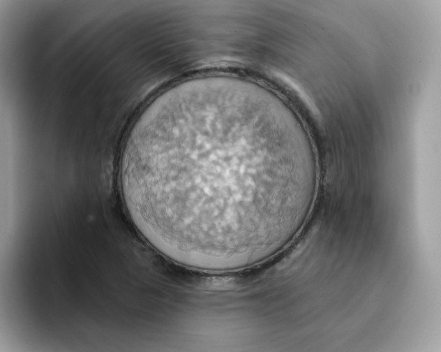 X0000091581313200709171108