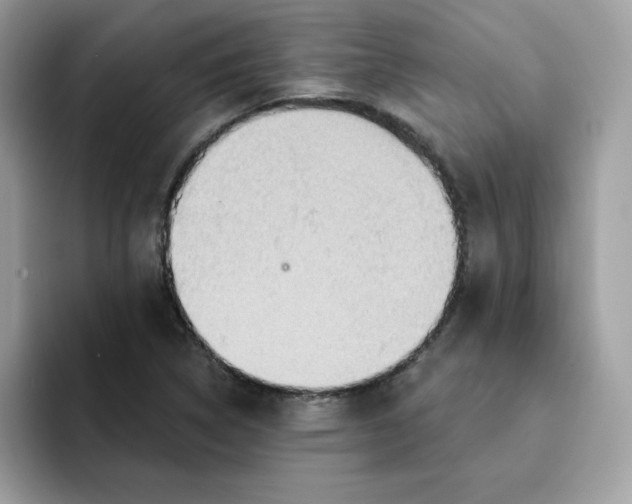 X0000091581314200709171108