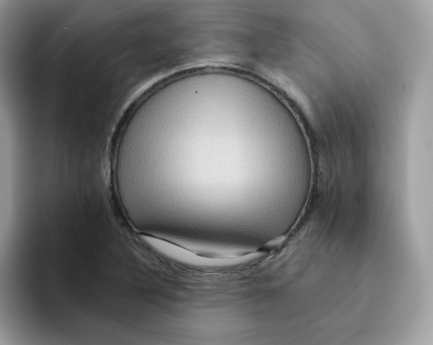 X0000091581316200709171108