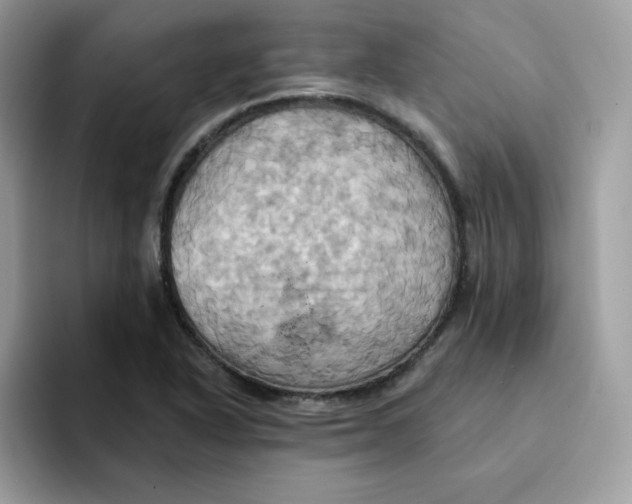 X0000091581318200709171108