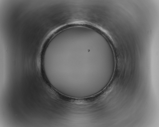 X0000091581319200709171108