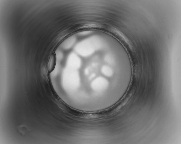 X0000091581321200709171108