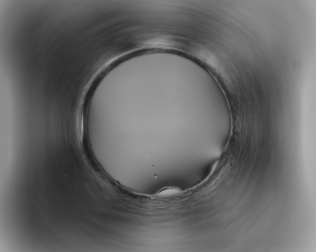 X0000091581323200709171109