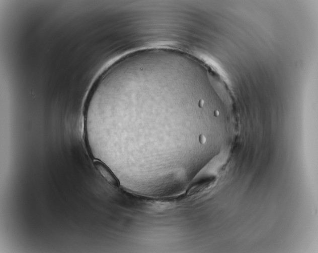 X0000091581324200709171109