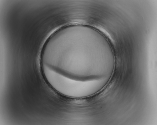 X0000091581325200709171109