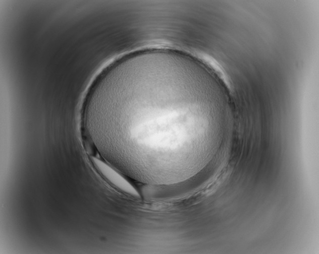 X0000091581326200709171109
