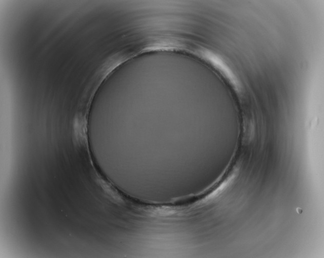 X0000091581329200709171109