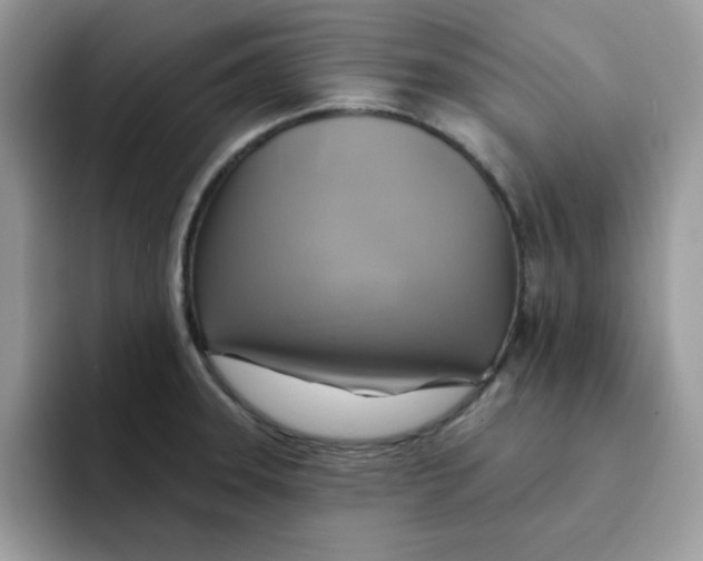 X0000091581331200709171109
