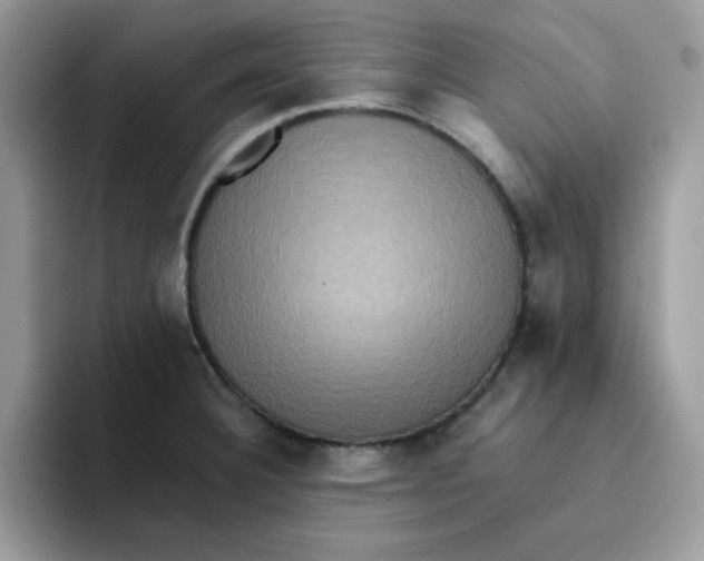 X0000091581332200709171109