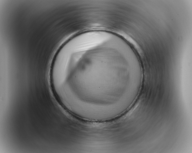 X0000091581333200709171109