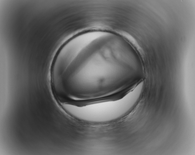 X0000091581335200709171109