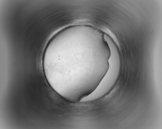 X0000091581336200709171109