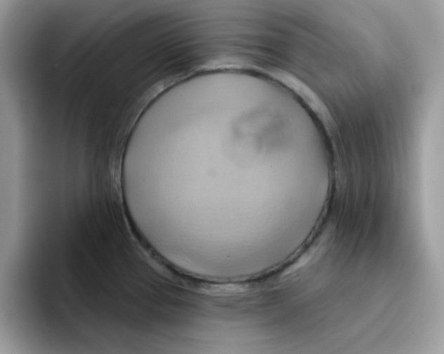 X0000091581337200709171109