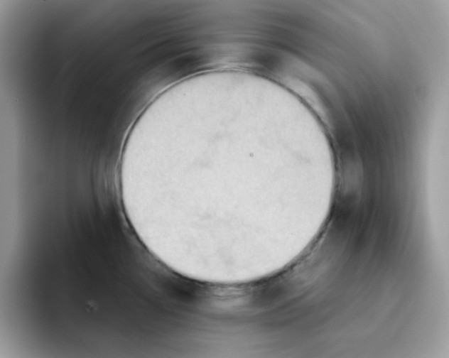 X0000091581338200709171109