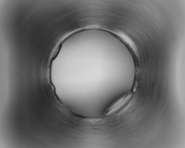 X0000091581340200709171109
