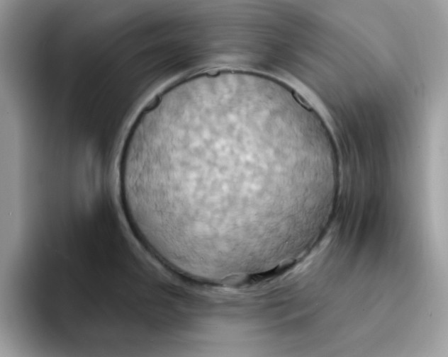 X0000091581341200709171109