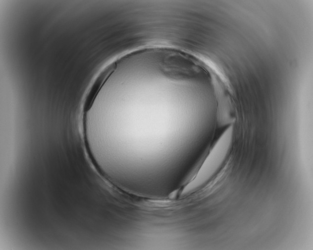 X0000091581342200709171109