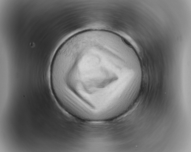 X0000091581343200709171109