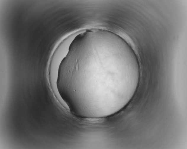 X0000091581344200709171109