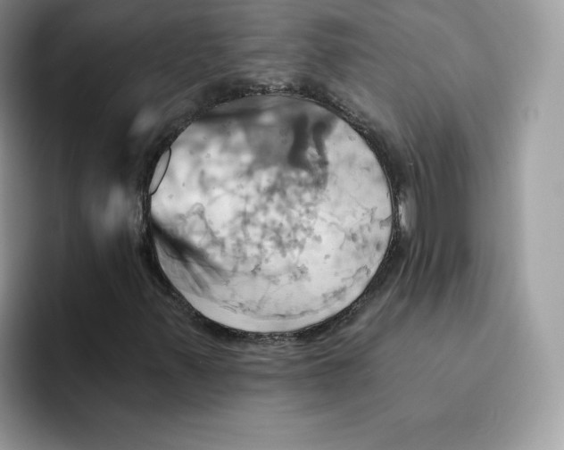 X0000091581347200709171108