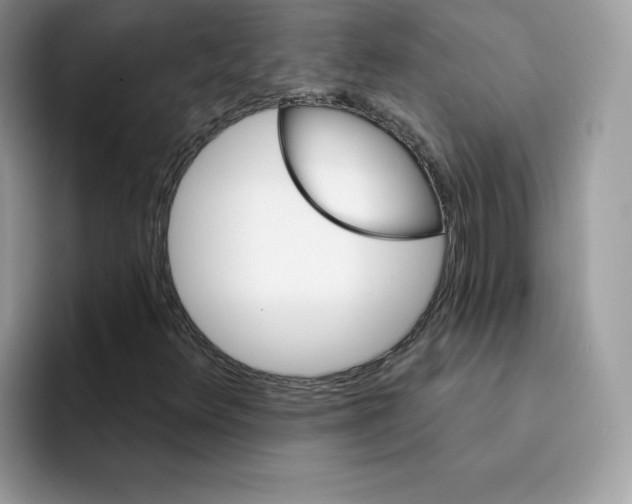 X0000091581348200709171108