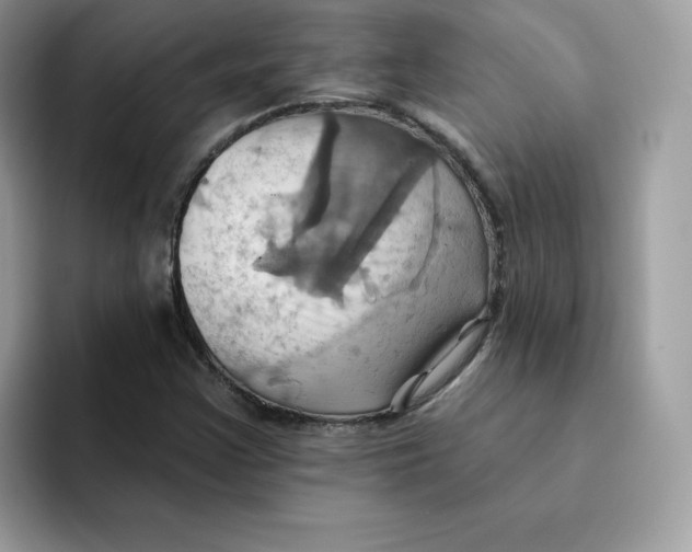 X0000091581355200709171108
