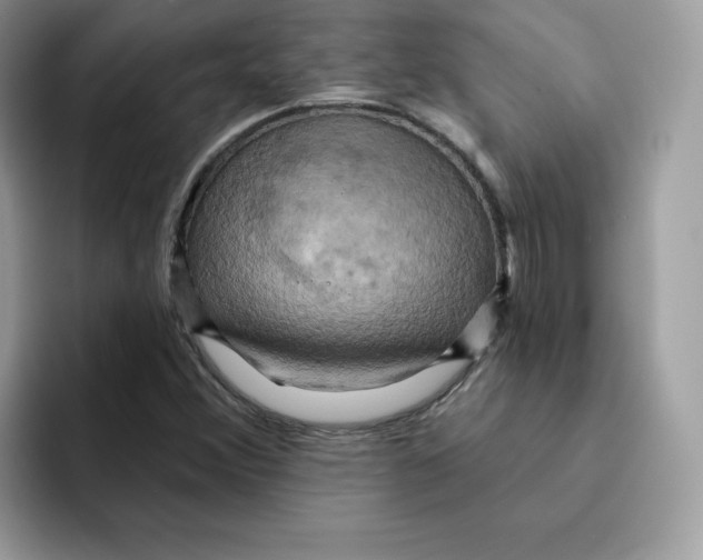 X0000091581356200709171108