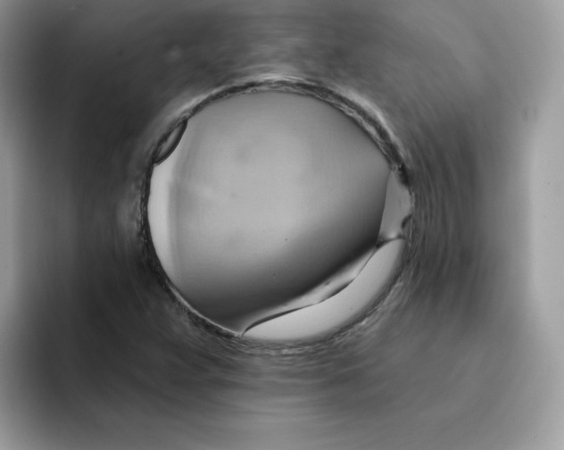 X0000091581359200709171108
