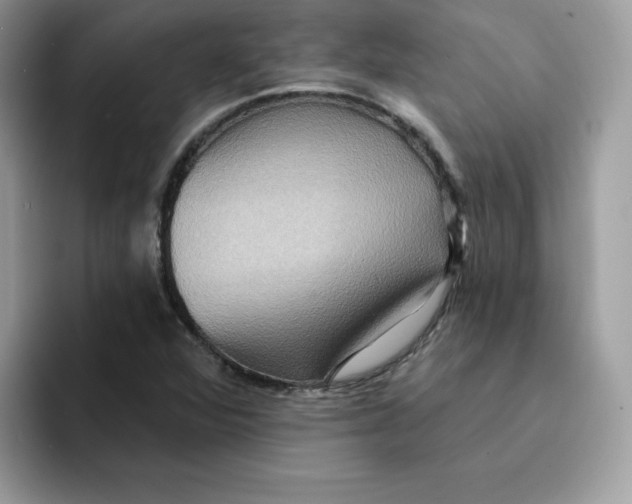 X0000091581360200709171108