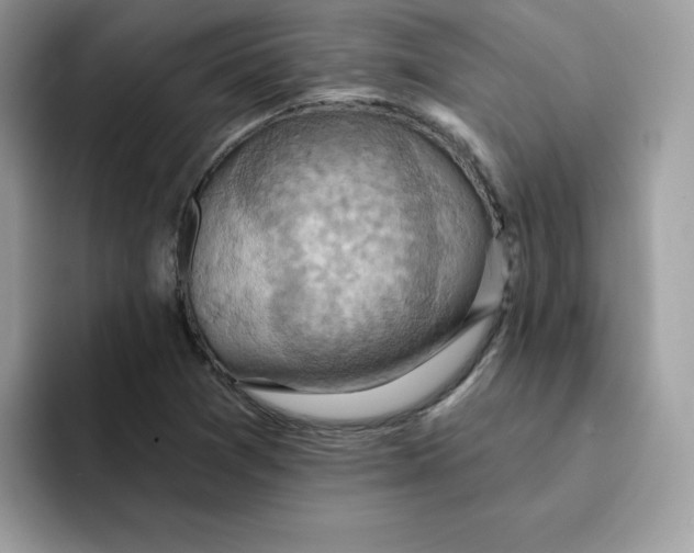X0000091581361200709171108