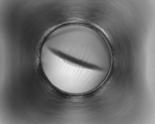 X0000091581363200709171108