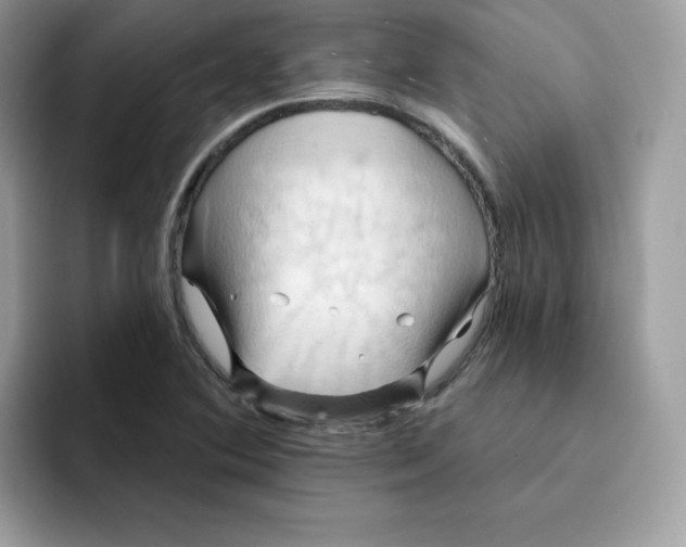 X0000091581364200709171108