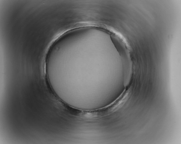 X0000091581365200709171108