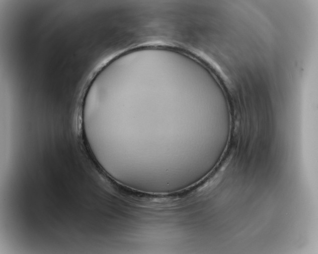 X0000091581367200709171108