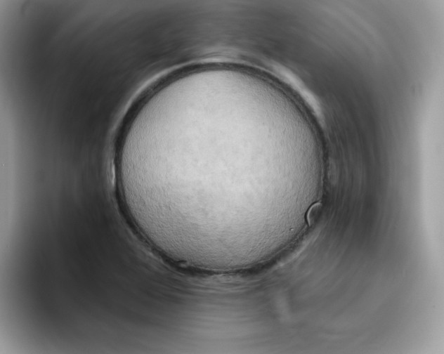 X0000091581368200709171108