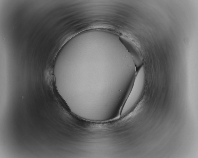 X0000091581369200709171108