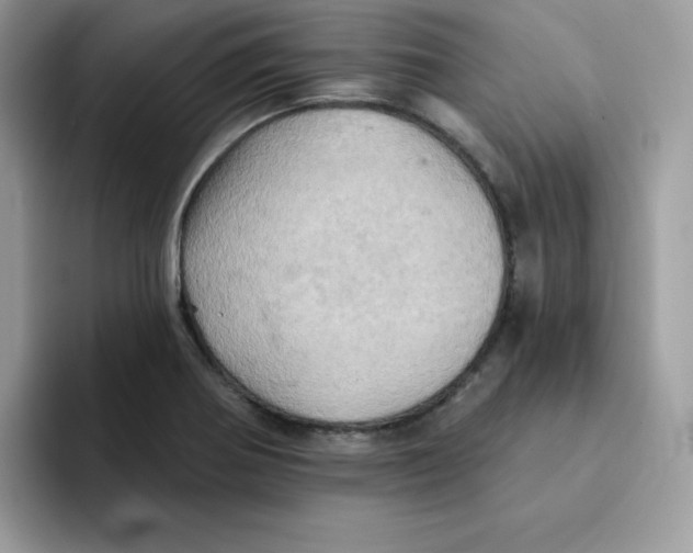 X0000091581370200709171108