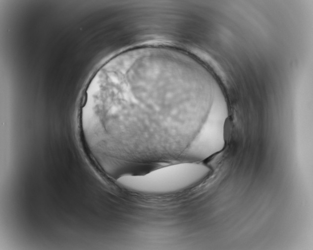 X0000091581375200709171108